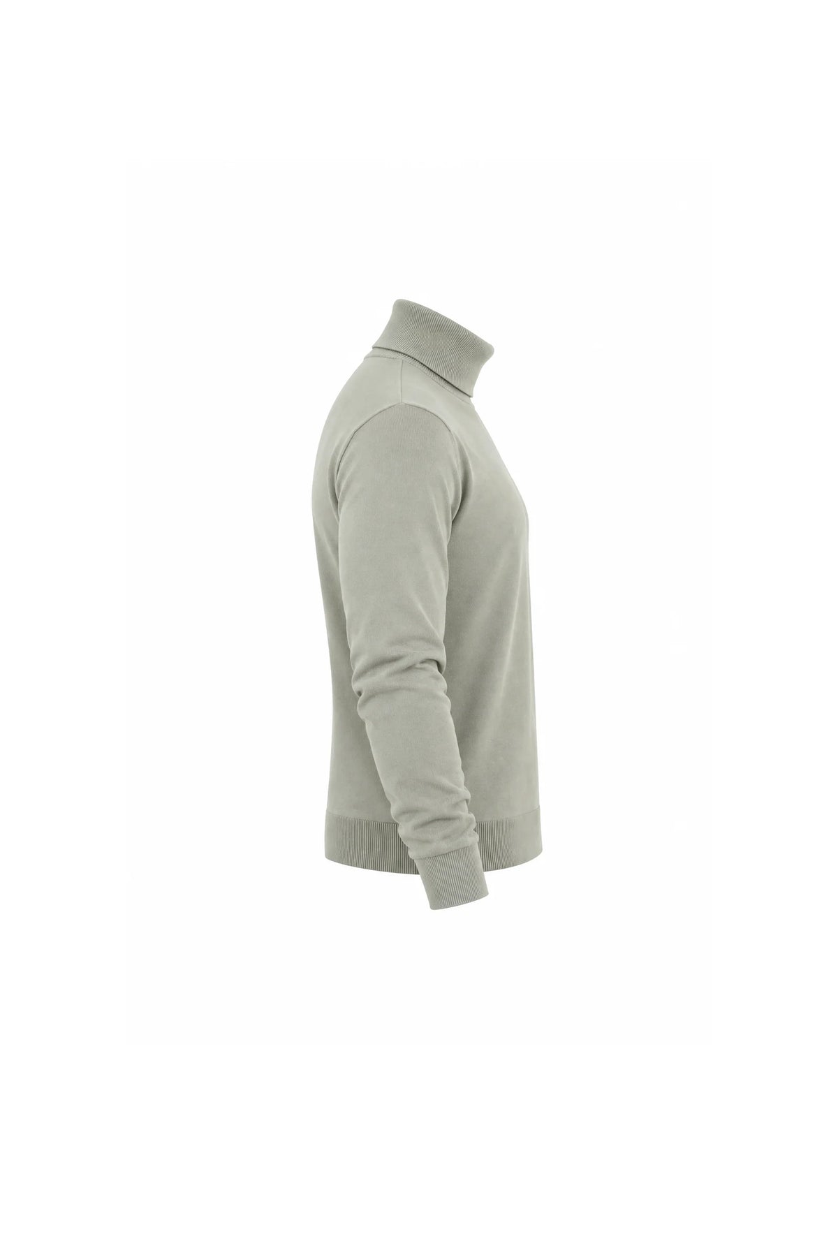 Rrollke classic roll neck