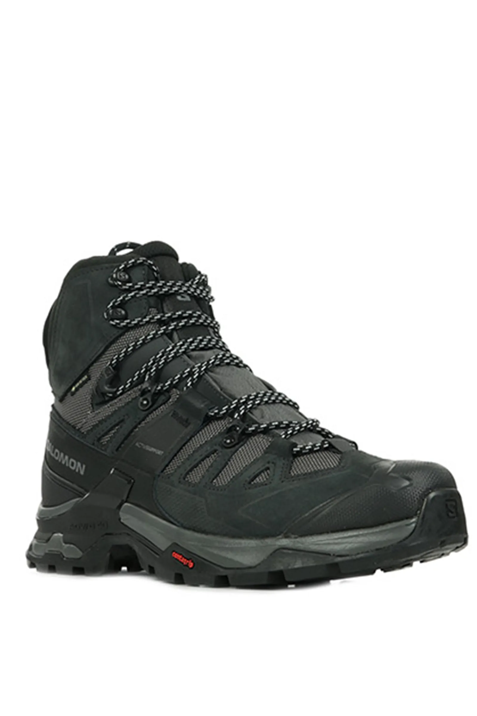 Salmon Quest 4 boots gtx L41292600