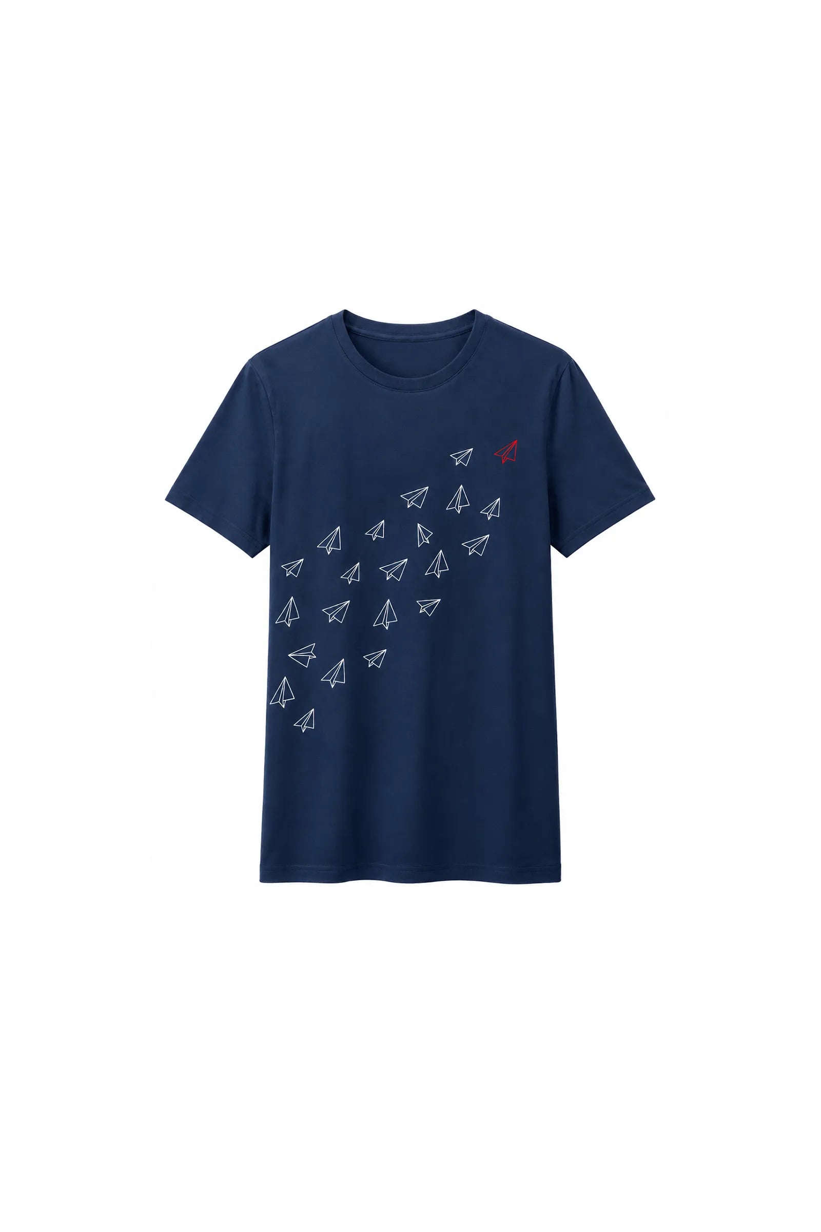Maice flight graphic
