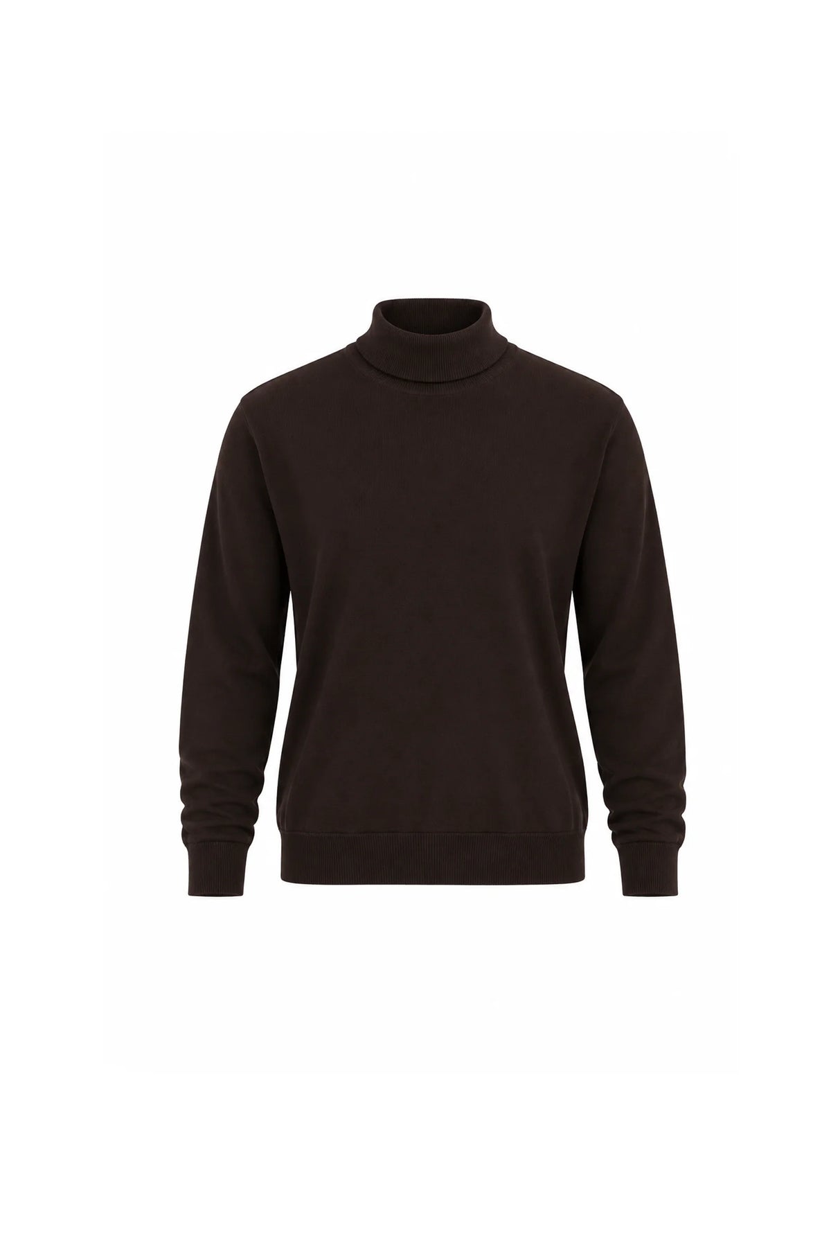 Rrollke classic roll neck