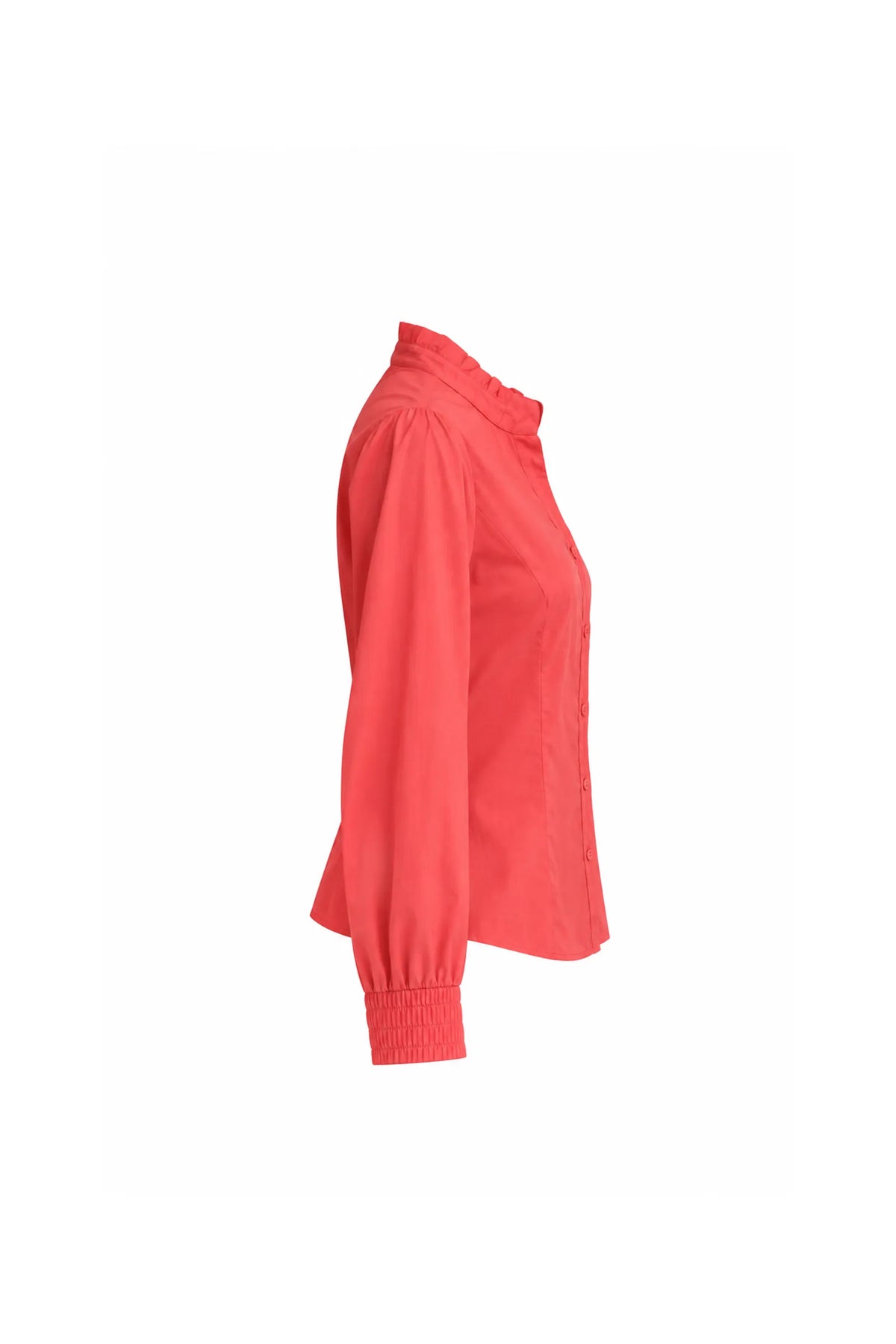 Kemishe coral muse