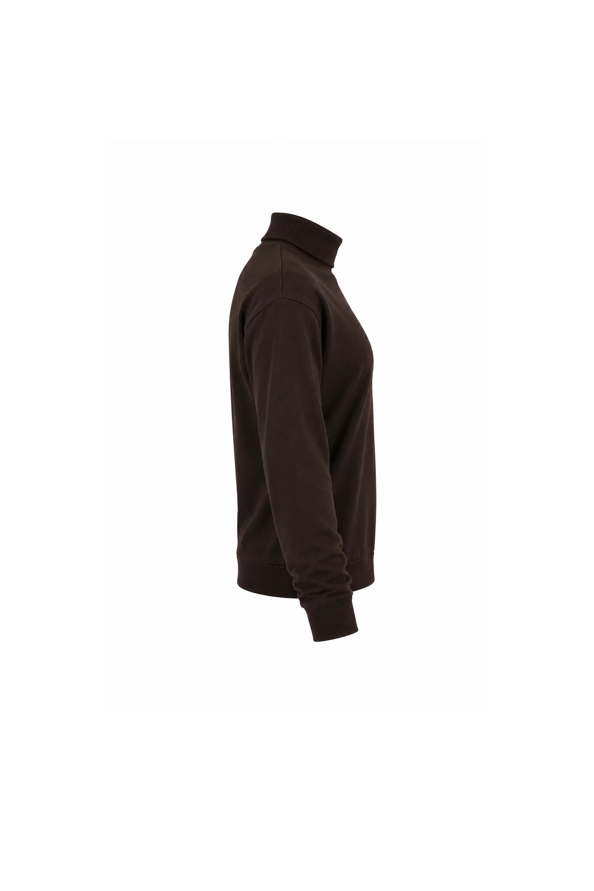 Rrollke classic roll neck