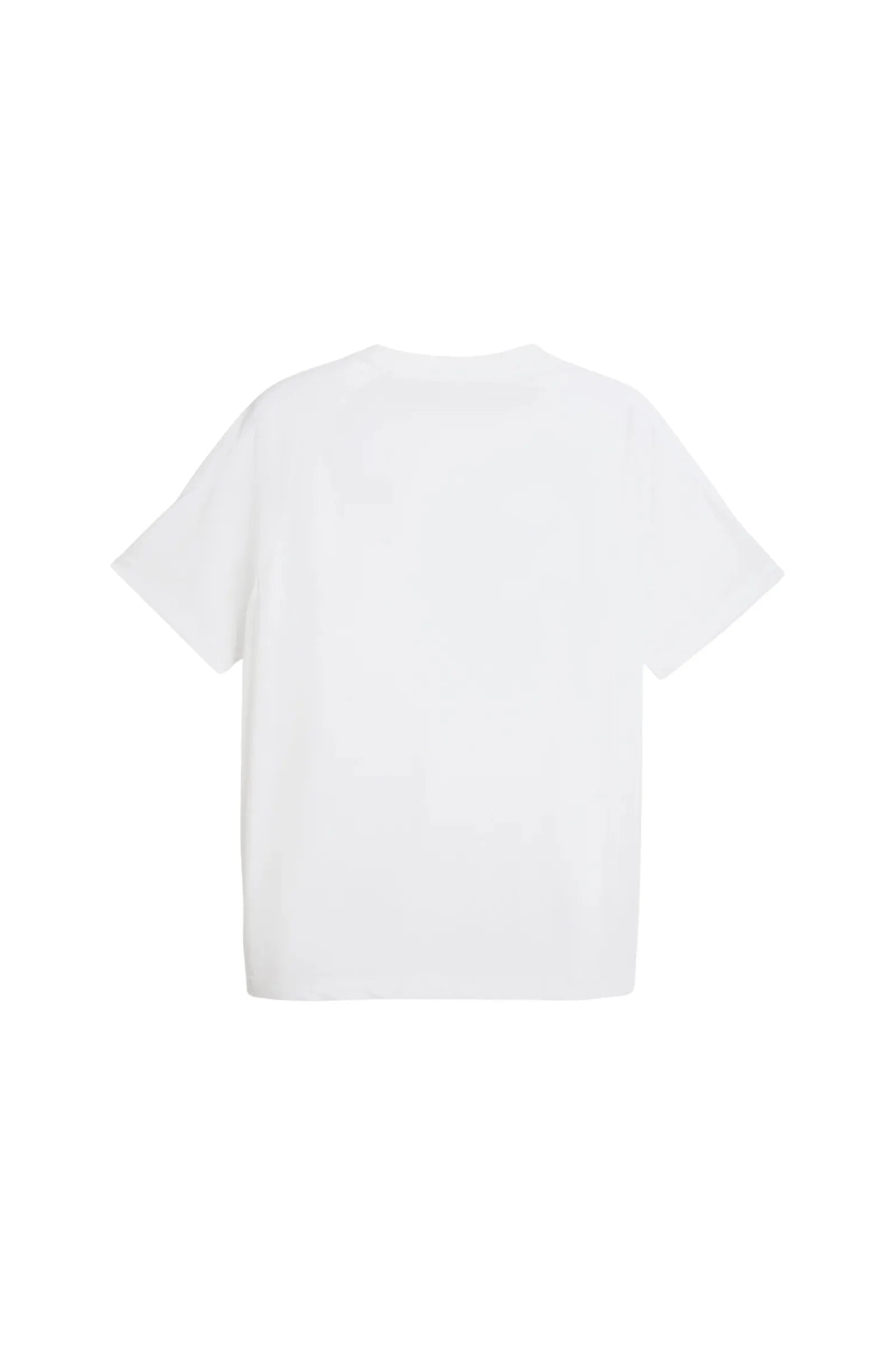 Maice puma evostripe tee 692189-02