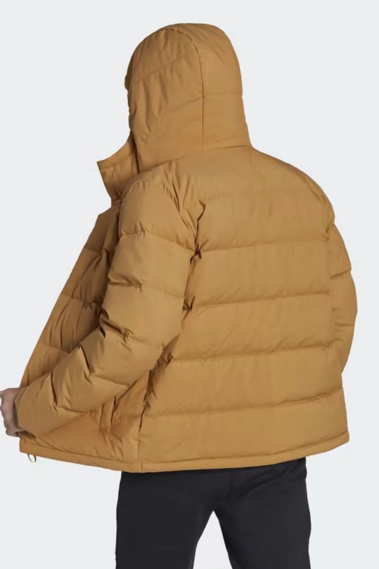 Jakne adidas helionic hooded down HG8748