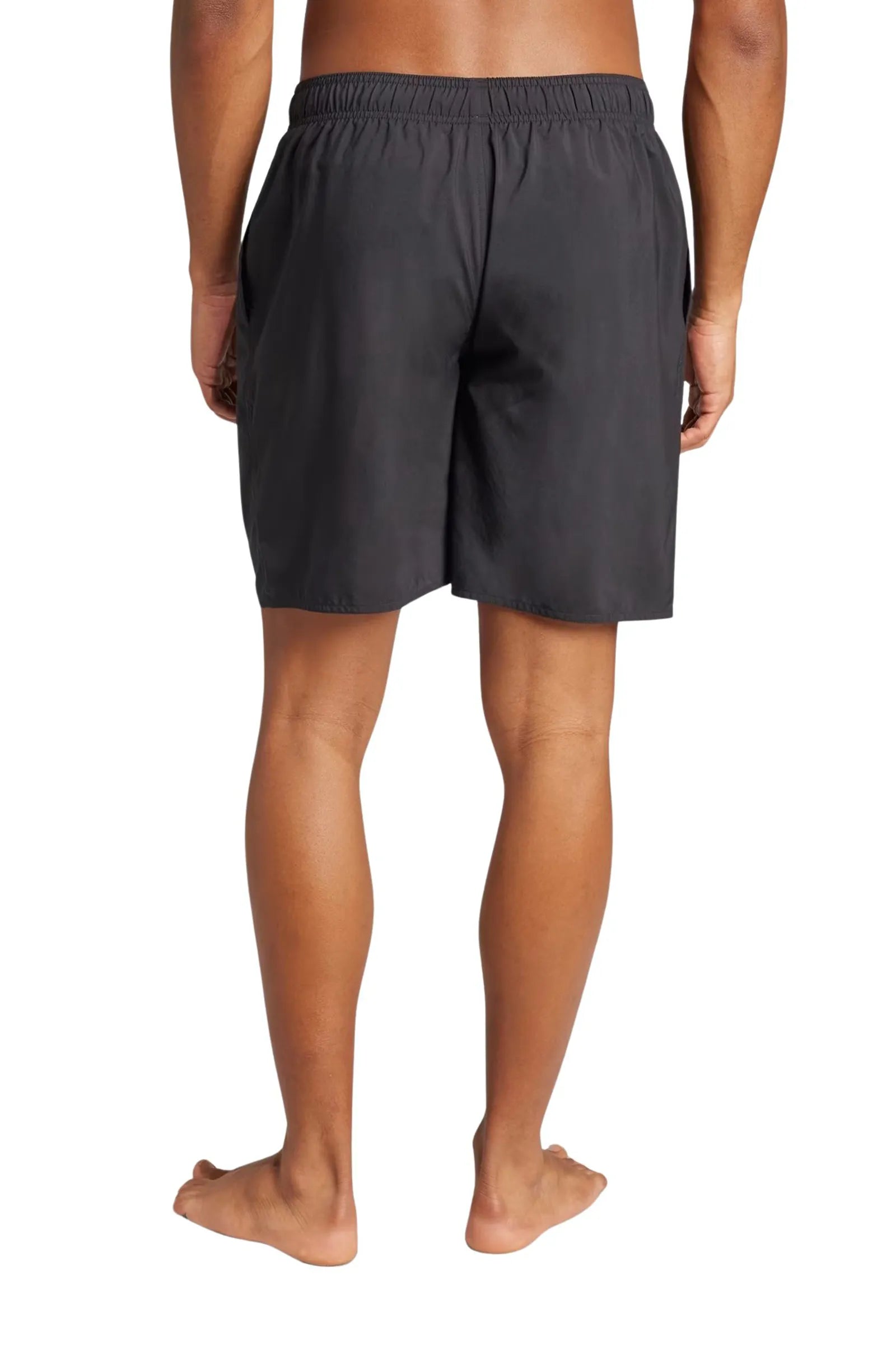 Shorce adidas swim 8-inch JX2666