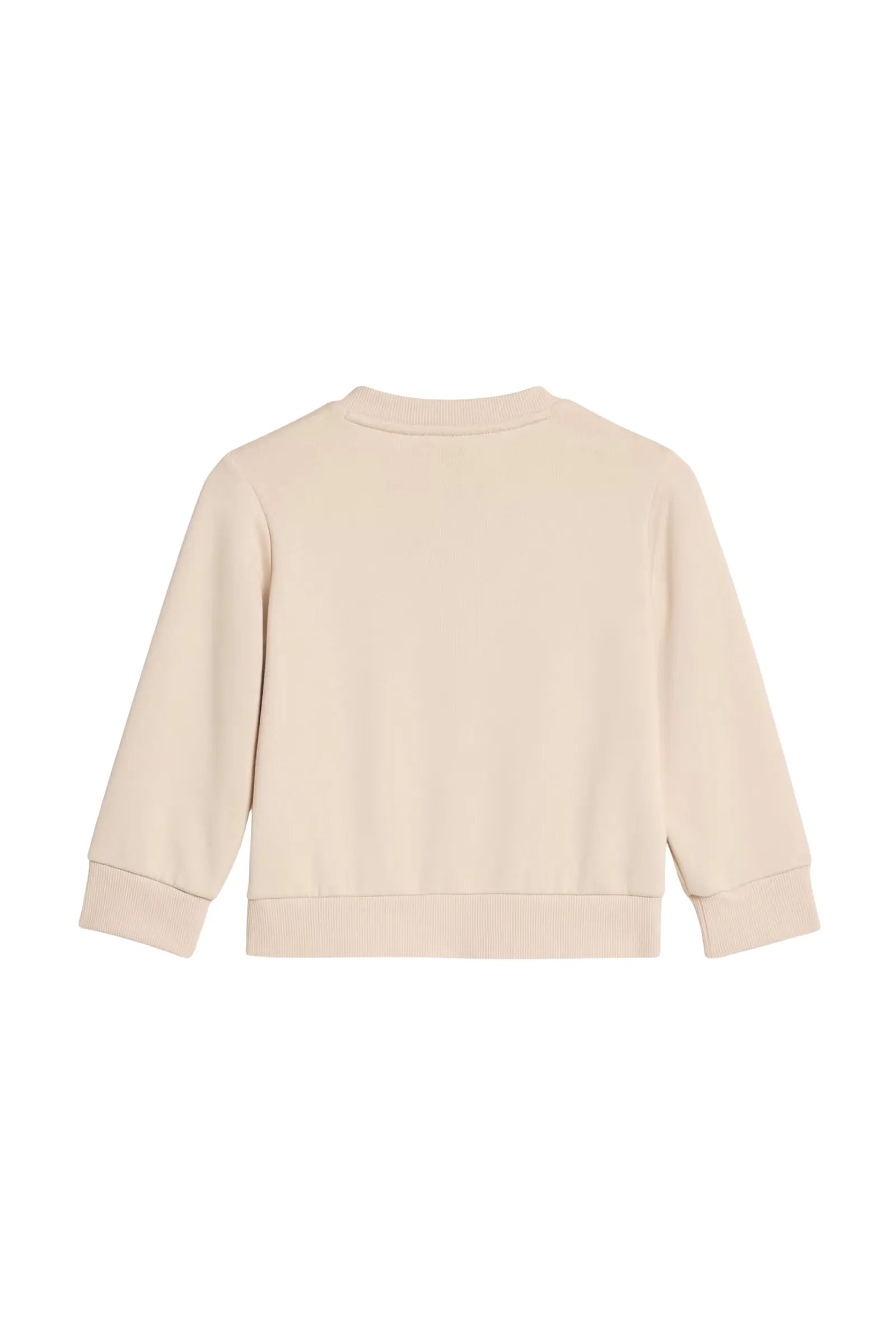 Set adidas essentials joggers KE0862