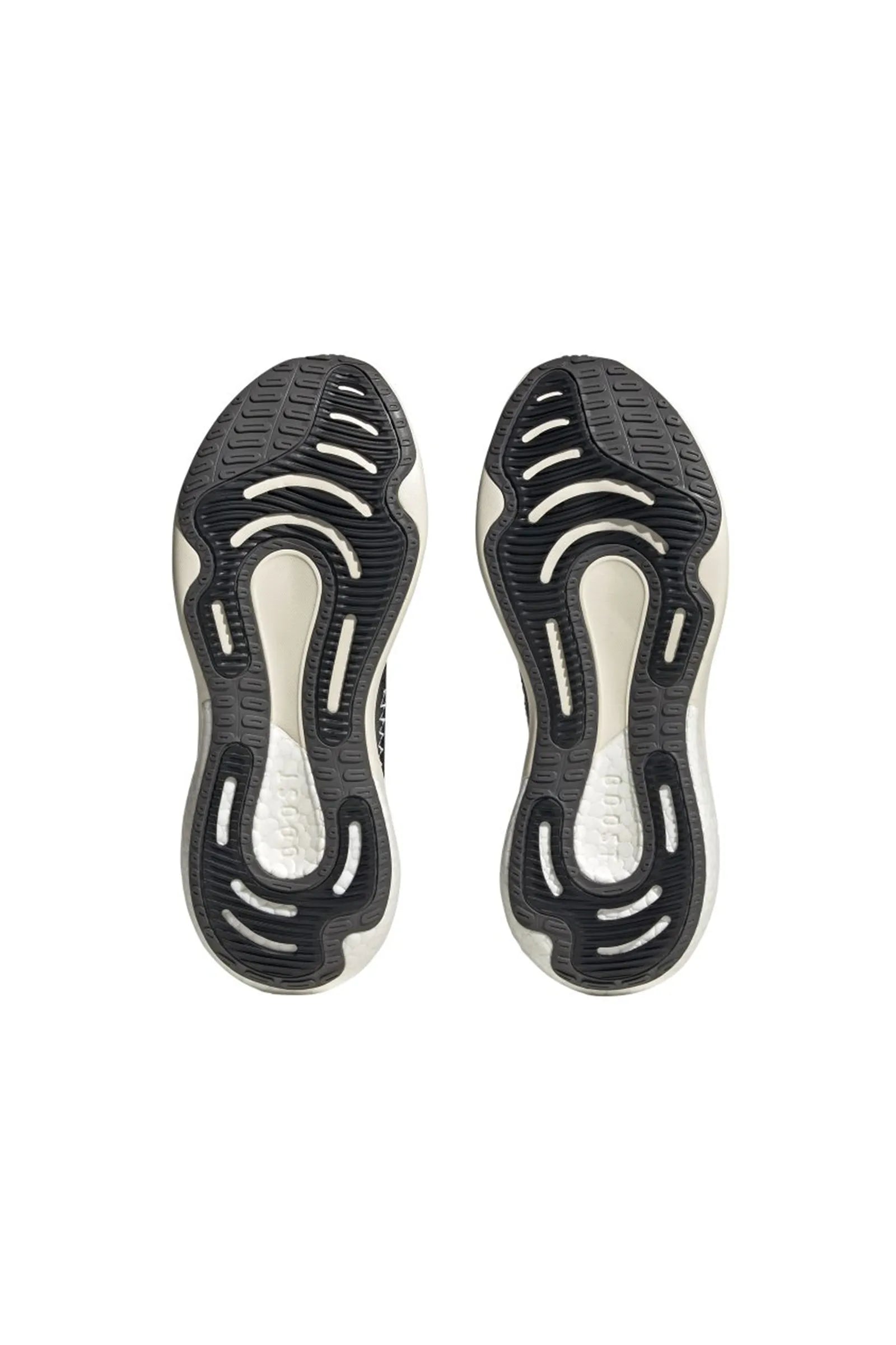 Adidas supernova 2.0 HP2239