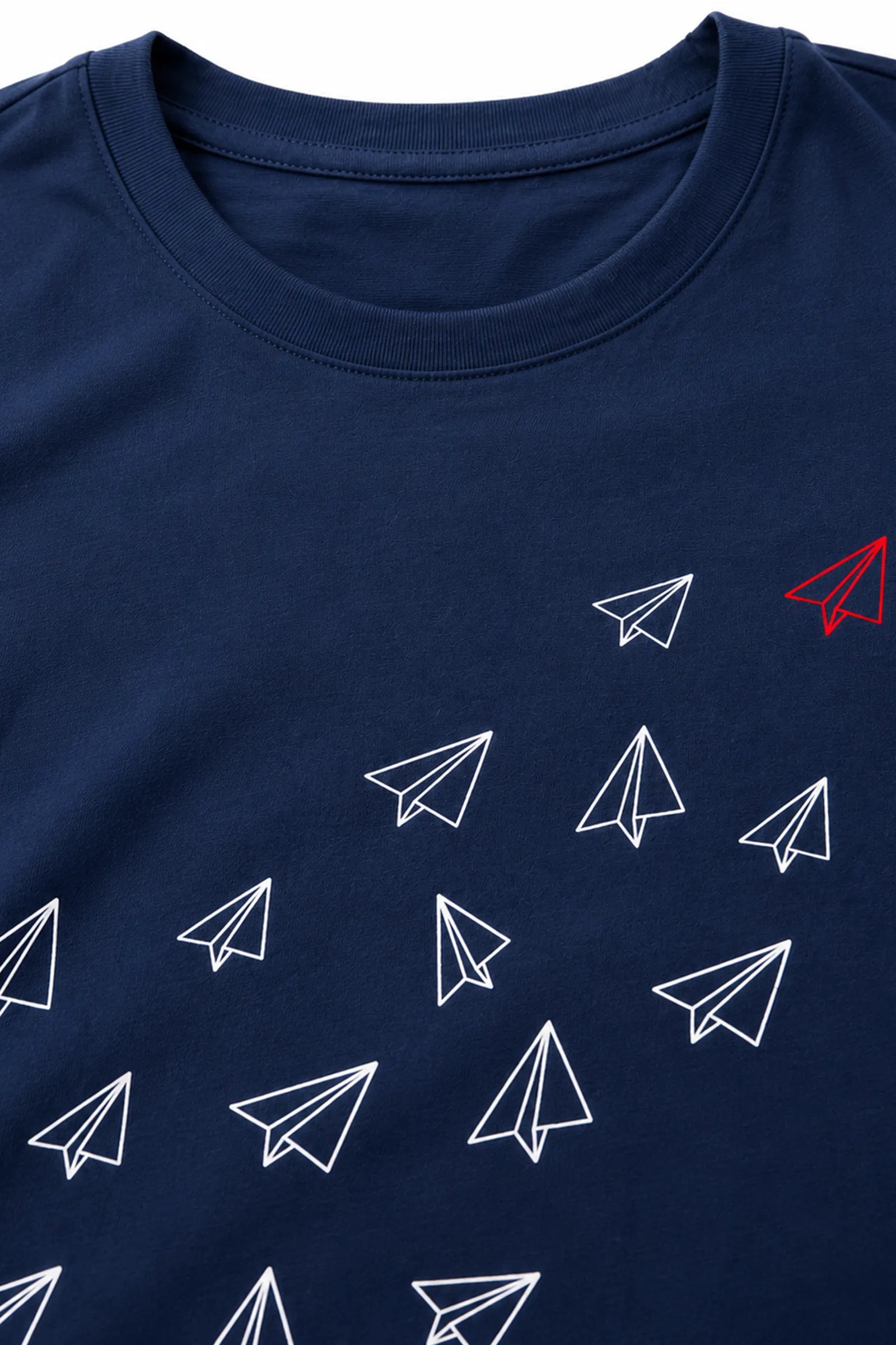 Maice flight graphic