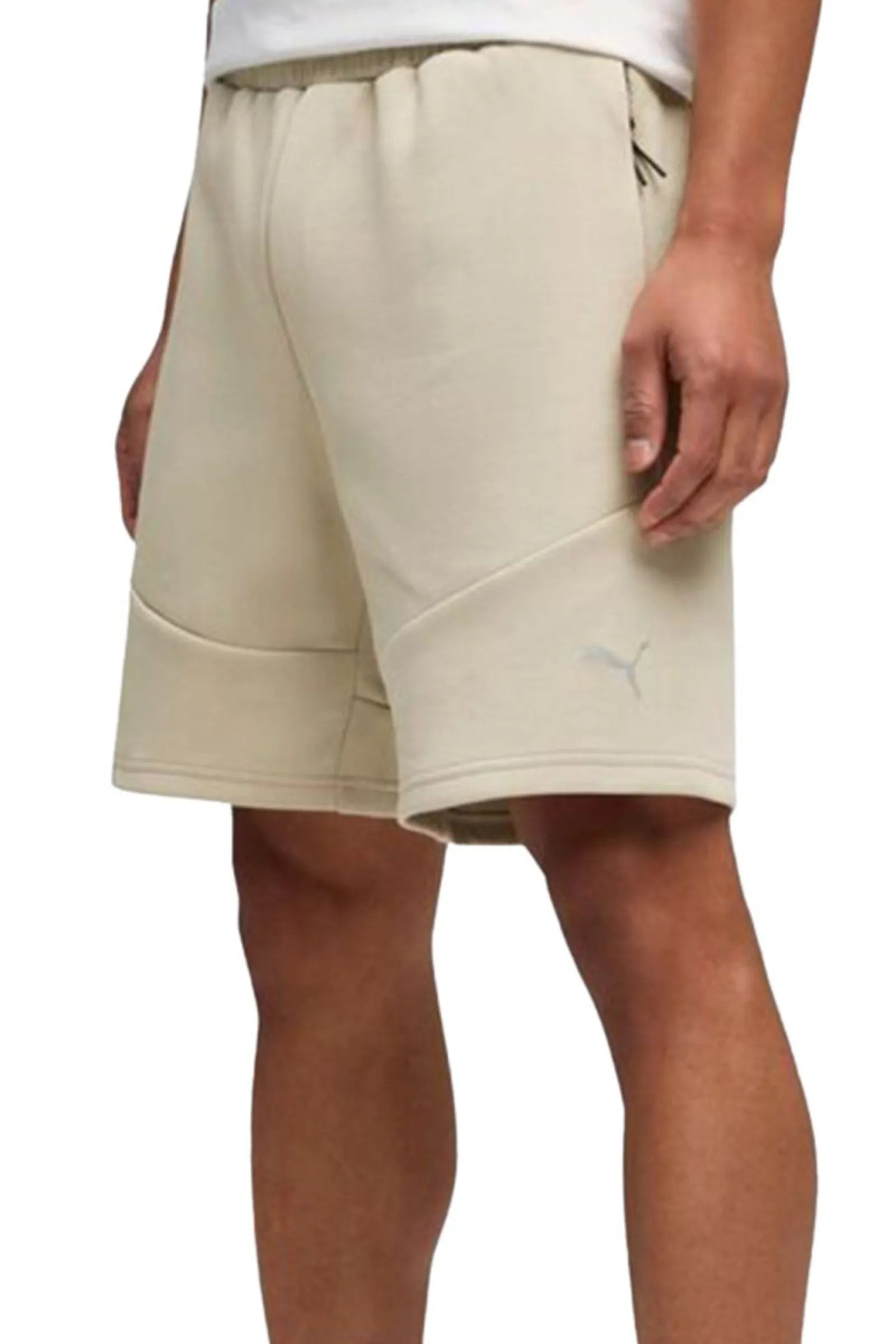 Shorce puma evostripe men's 692192-61