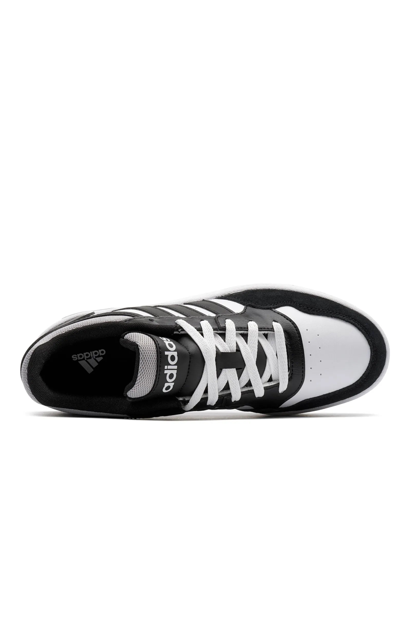 Adidas Hoops 3.0 Low IH0169