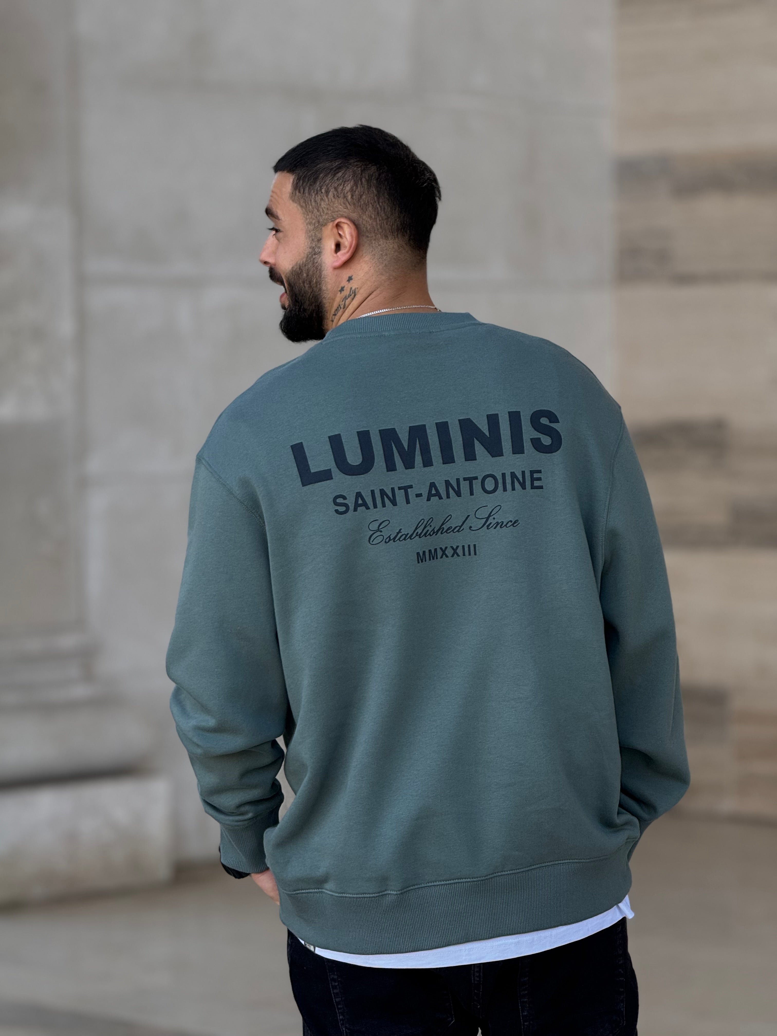 DUKS LUMINIS