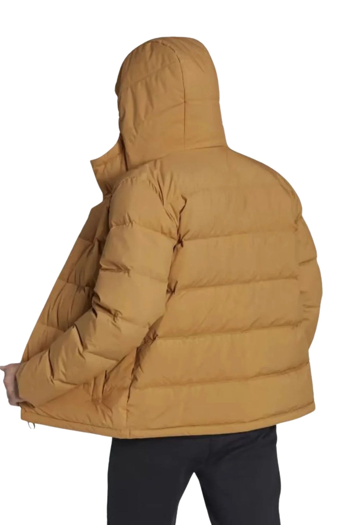 Jakne adidas helionic hooded down HG8748