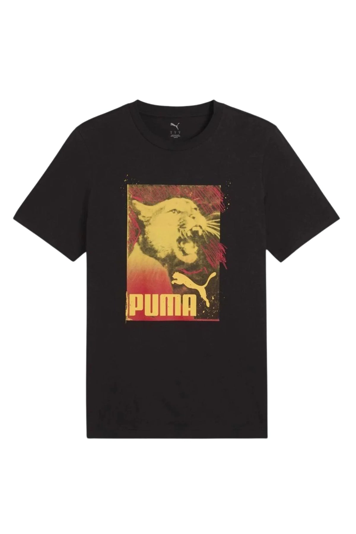 Maice puma graphics- print 684836-01
